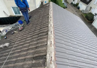 remplacement tuiles beton 78 2
