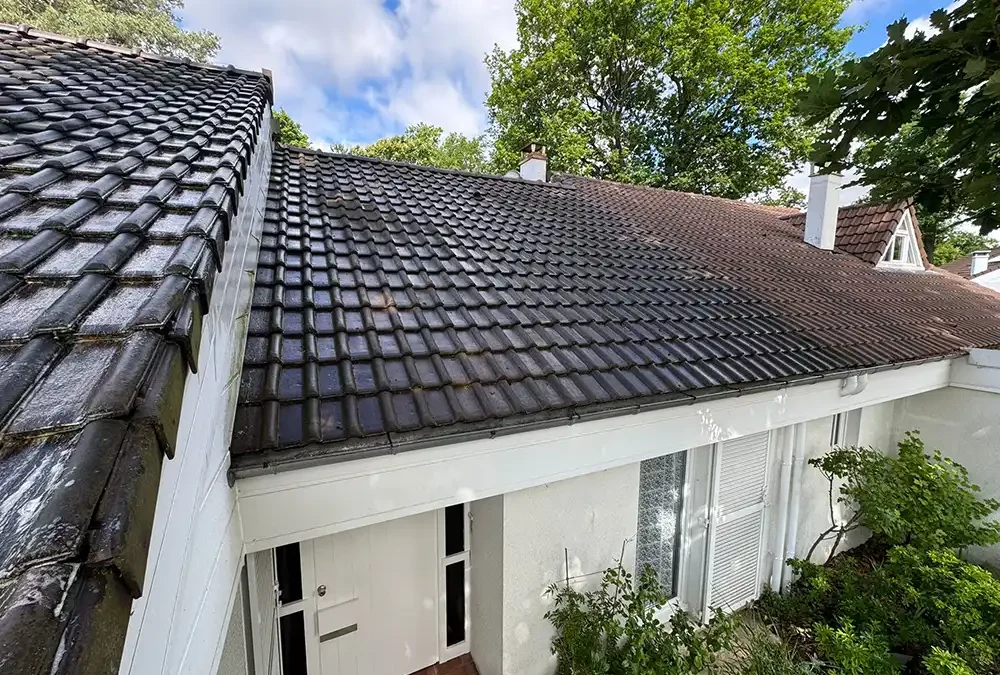 Démoussage toiture Poissy 78300