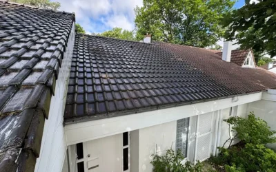 Démoussage toiture Poissy 78300
