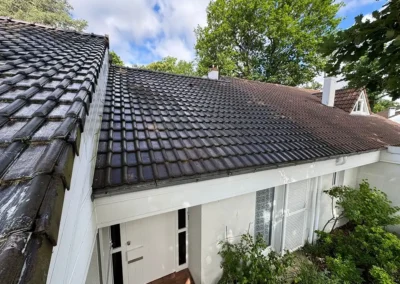 demoussage toiture poissy