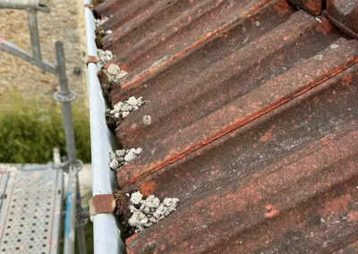 remplacement gouttiere orgeval