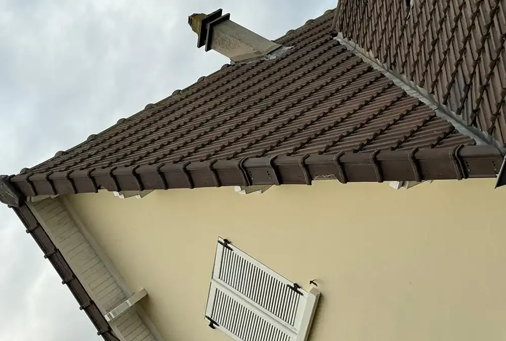 Remplacement rives Verneuil-sur-Seine 78480