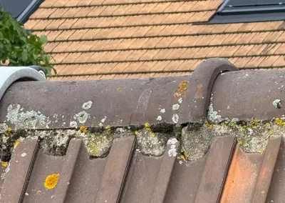 remplacement faitage verneuil sur seine 2