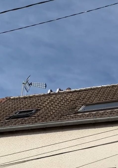 renovation faitage flins sur seine 78410
